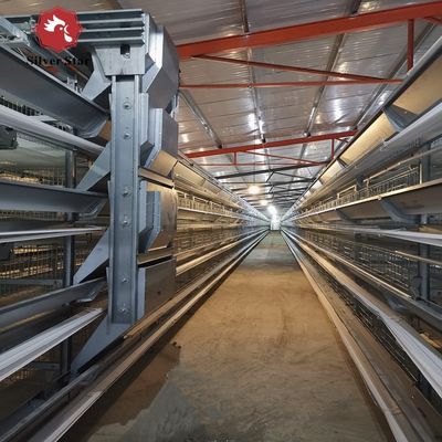 قفص البطارية الصناعية من النوع H مع دعم هندسي في الخارج