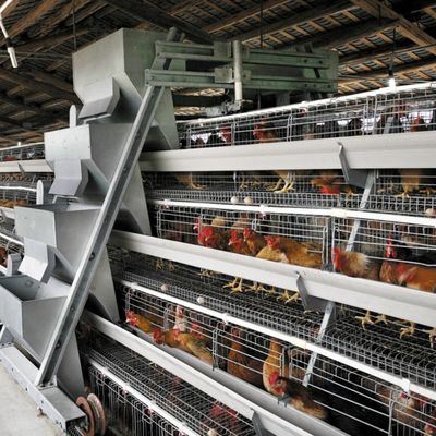 قفص دواجن طبقات من النوع A بثلاث طبقات / 4 طبقات مع تغذية أوتوماتيكية وجمع البيض وفولاذ مجلفن بالغمس الساخن
