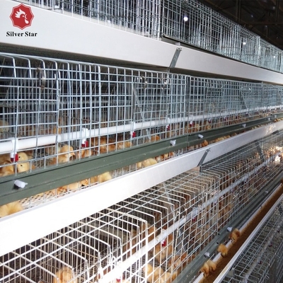 3 Tiers A Type Broiler Chicken Breeding Cage 128 Layers H Type