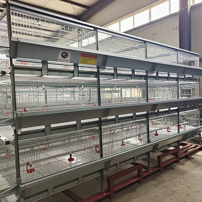 Poultry Farming Equipment Hot Galvanized H Type Automatic System Battery Broiler Chicken Cage