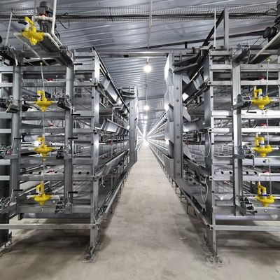 Full Automatic H-Type Broiler Chicken Cage Hot-Dip Galvanized High-Density Poultry Farming Equipment