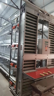 Chicken Egg Laying Hens Cage Commercial Poultry Farming Equipment Automated Chicken Layer Farming Cage