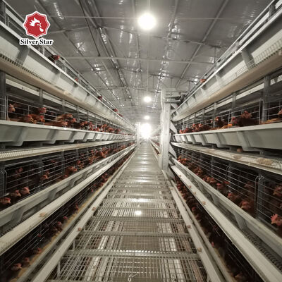قفص الدجاج من النوع H مع عمر خدمة 20 عامًا لـ 54-216 دجاجة في 3-8 مستويات