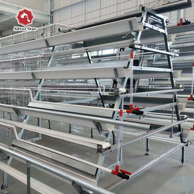 3-Tier / 4-Tier A-Type Layer Chicken Cage with Automatic Feeding & Egg Collection Systems in Hot-Dip Galvanized Steel