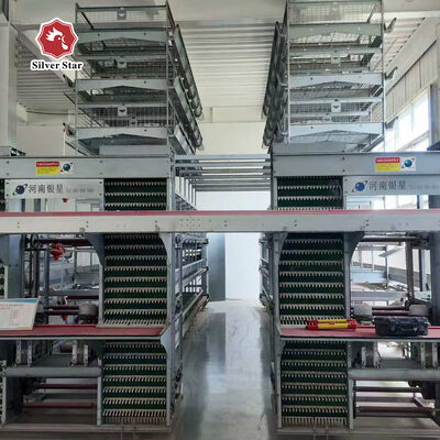 نظام قفص بطاريات أوتوماتيكي من النوع H مع فولاذ مجلفن بالغمس الساخن لجمع البيض الآلي وعمر خدمة يتراوح بين 15-20 عامًا