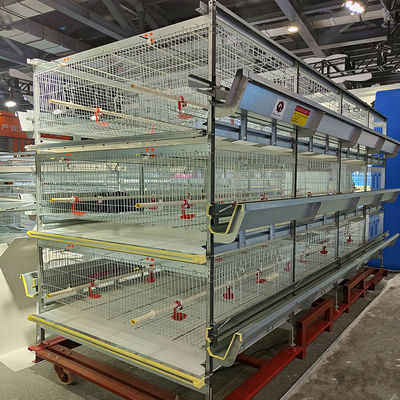 Low Noise H Type Battery Cage For Broilers With Automatic Feeding System