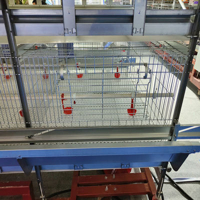 Low Noise H Type Battery Cage For Broilers With Automatic Feeding System
