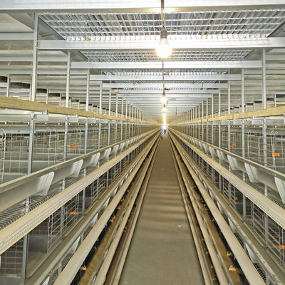 50000 Birds 5tiers Battery Chicken Cage Equipment Laying Hens Use ISO9001 Approval