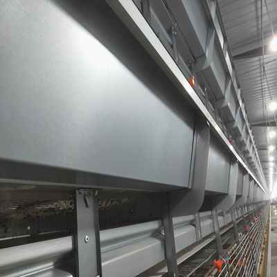 Automated H-Type Broiler Cage System Hot-Dip Galvanized High-Density Commercial Poultry Farming Equipment