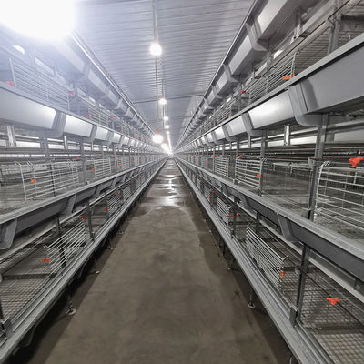 Q235 4 Tiers Broody Hen Cage , 50000 Birds Automatic Battery Cage System