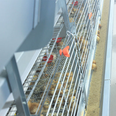 Automatic Broiler Equipment For Chicken House, Certified Under SONCAP, 380V 50HZ