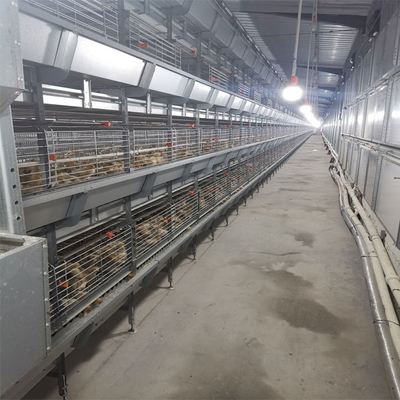 Poultry Equipment Broiler Chicken Cage For Meat Chicken'