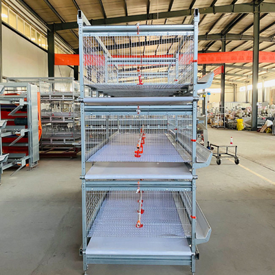 Cold Galvanized Poultry Farm Cages For Broiler Chicken Breeding / Meat Broiler