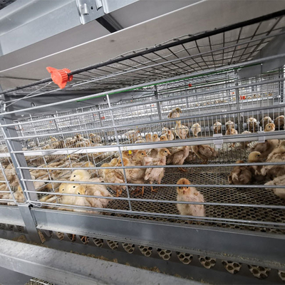 Floor Saving Meat Broiler Chicken Cage For Chicken Farm
